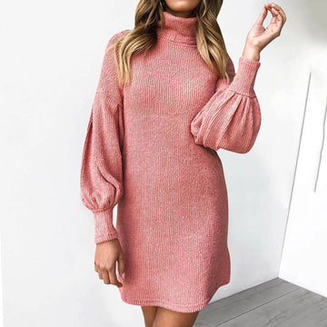 Zia Turtleneck Sweater Dress